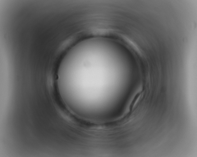 X0000114440687200910231318