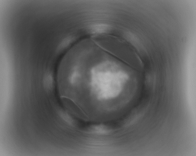 X0000114440688200910231318