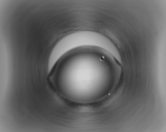 X0000114440689200910231318