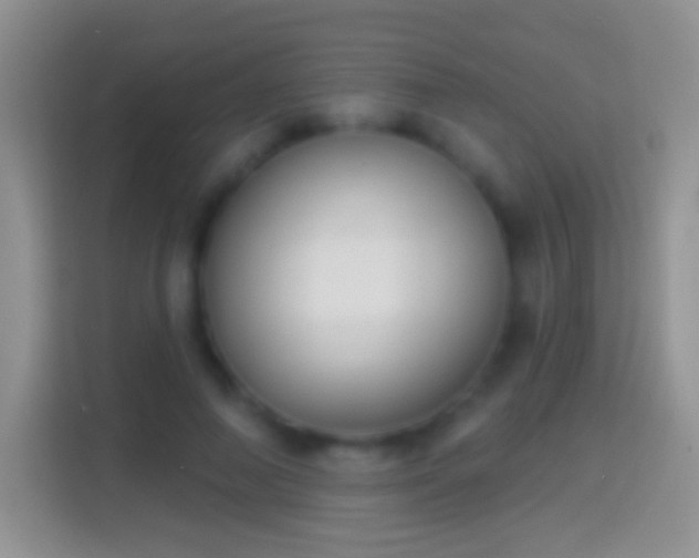 X0000114440690200910231318