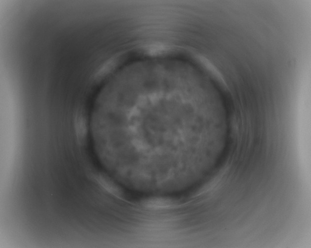 X0000114440691200910231318