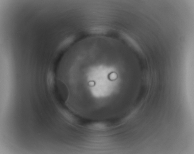 X0000114440692200910231318