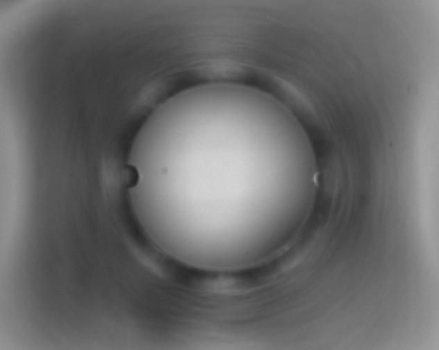 X0000114440695200910231318