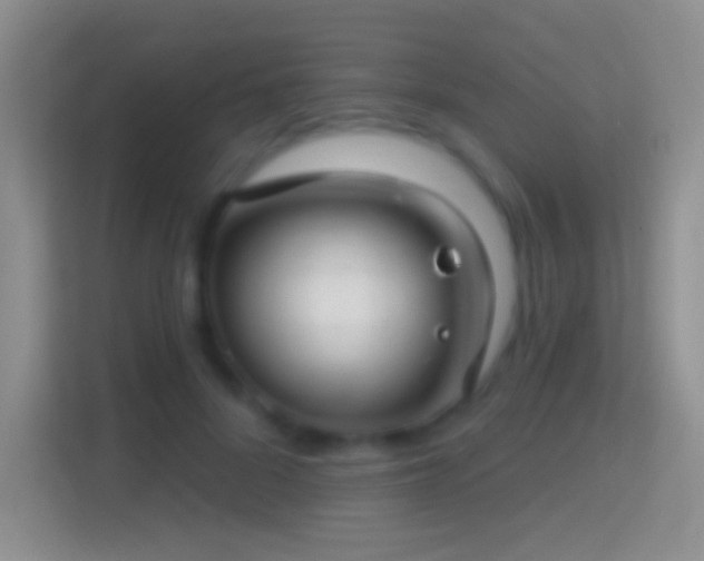 X0000114440696200910231318