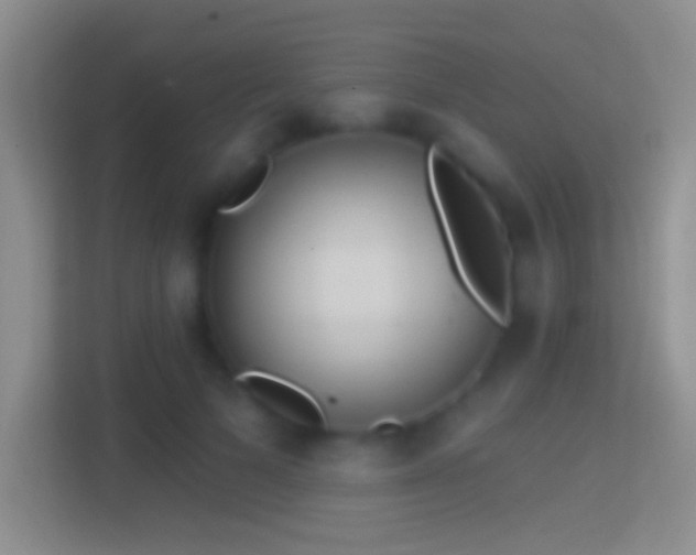 X0000114440697200910231318