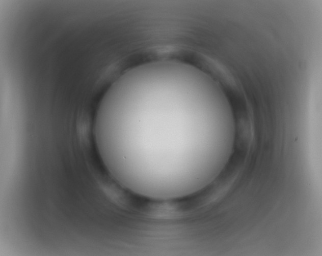 X0000114440698200910231318