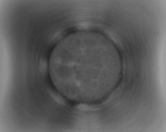 X0000114440699200910231318