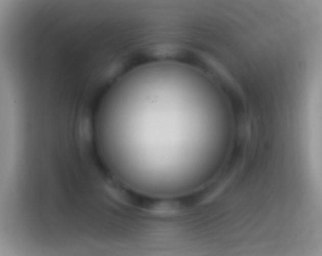 X0000114440700200910231318