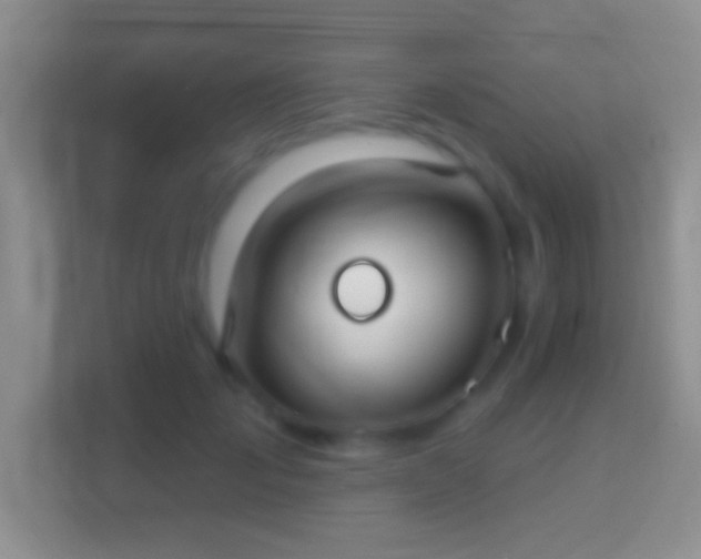 X0000114440701200910231318