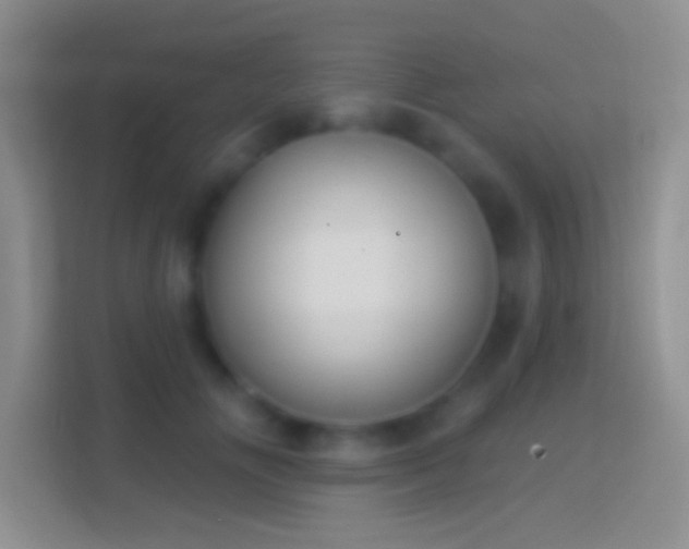 X0000114440702200910231318