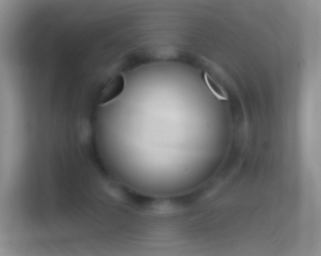 X0000114440704200910231318