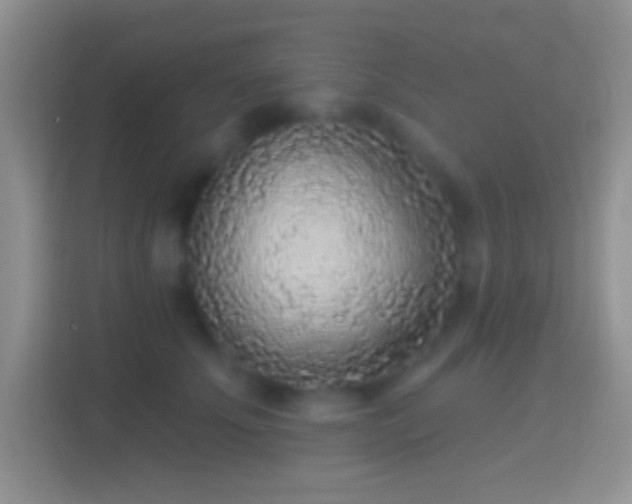 X0000114440707200910231318