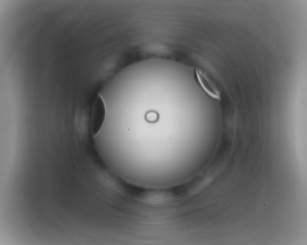 X0000114440708200910231318