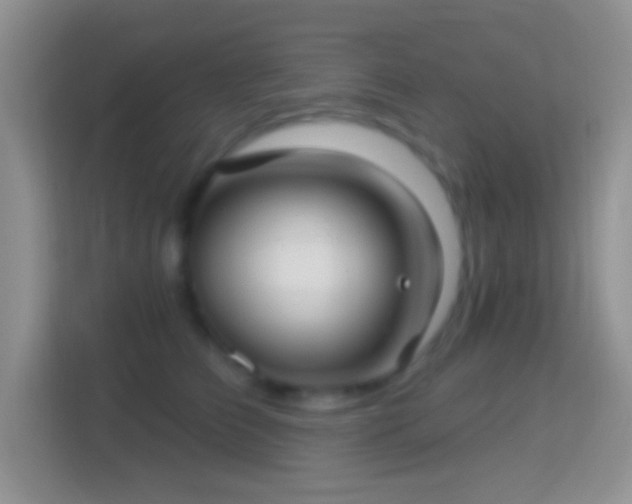 X0000114440709200910231318