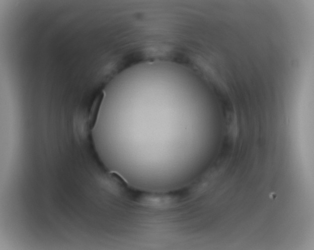 X0000114440712200910231318