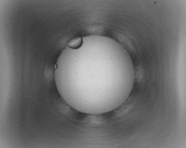 X0000114440713200910231318