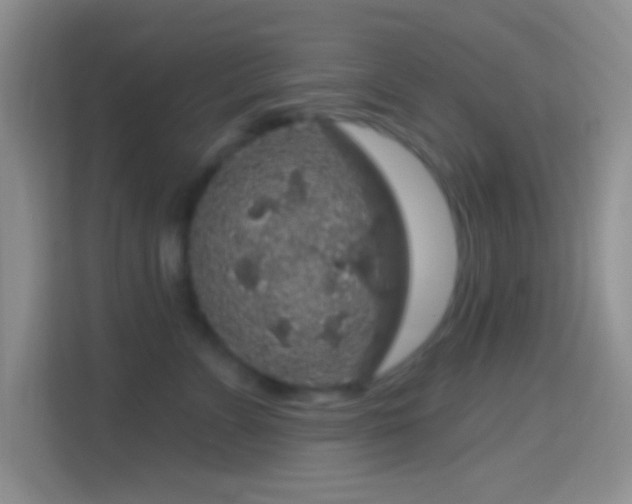 X0000114440715200910231318