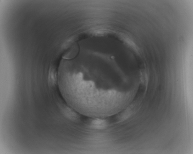 X0000114440718200910231318