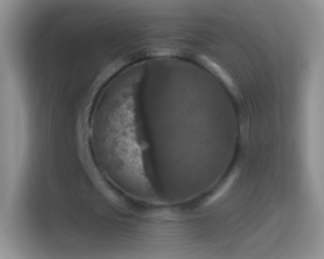 X0000114440721200910231317