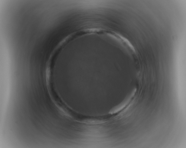 X0000114440722200910231317