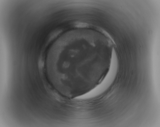 X0000114440723200910231317