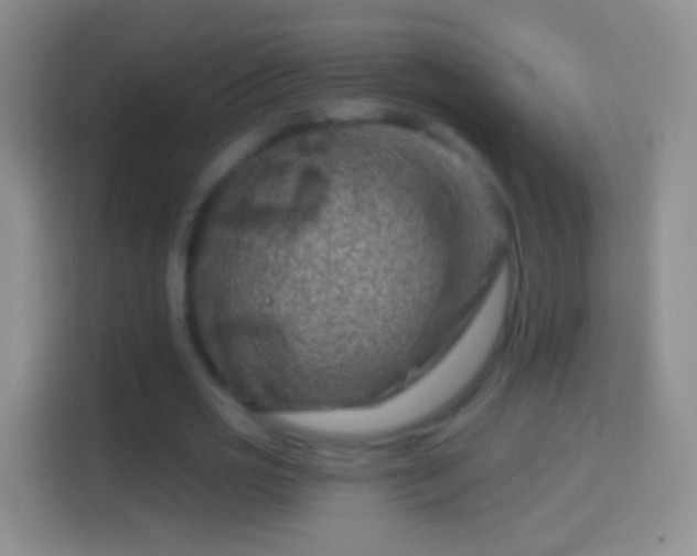 X0000114440725200910231317