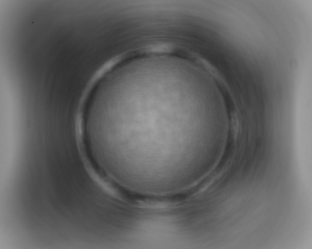 X0000114440726200910231317