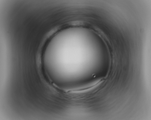 X0000114440727200910231317