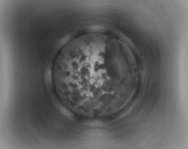 X0000114440729200910231317