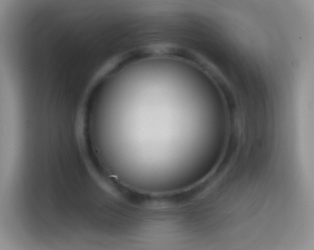 X0000114440730200910231317