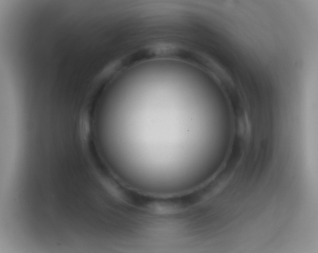 X0000114440733200910231318