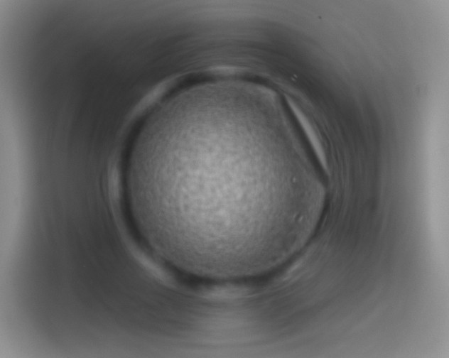 X0000114440734200910231318