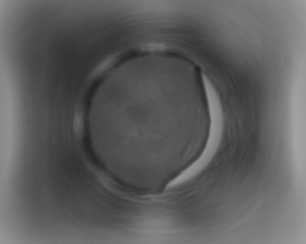 X0000114440735200910231318