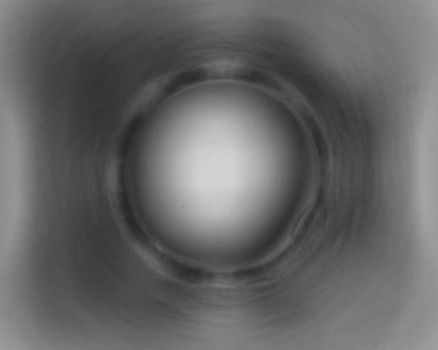 X0000114440738200910231318