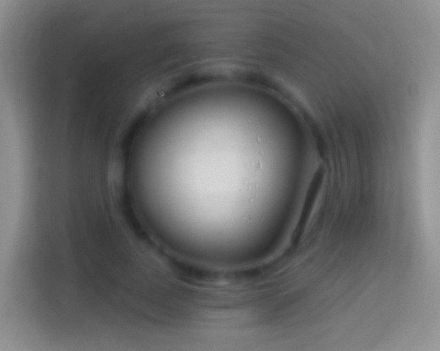 X0000114440739200910231318