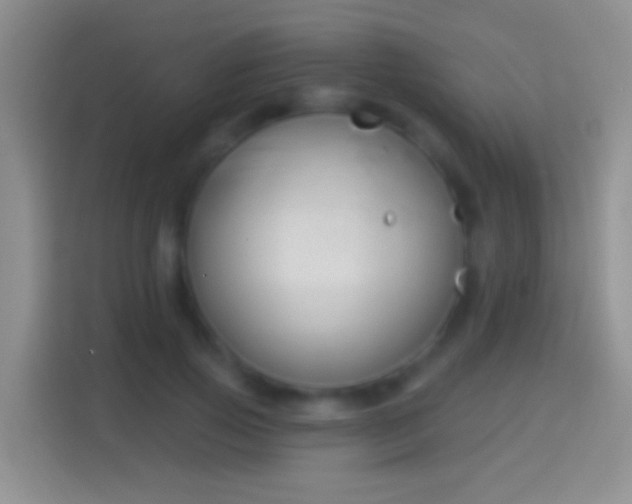 X0000114440741200910231318