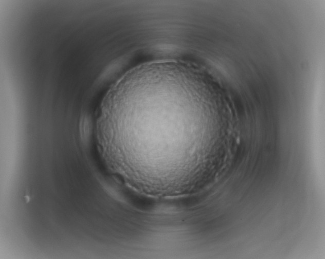 X0000114440742200910231318