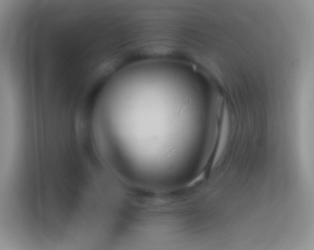 X0000114440743200910231318