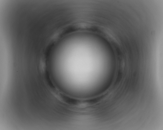 X0000114440746200910231318