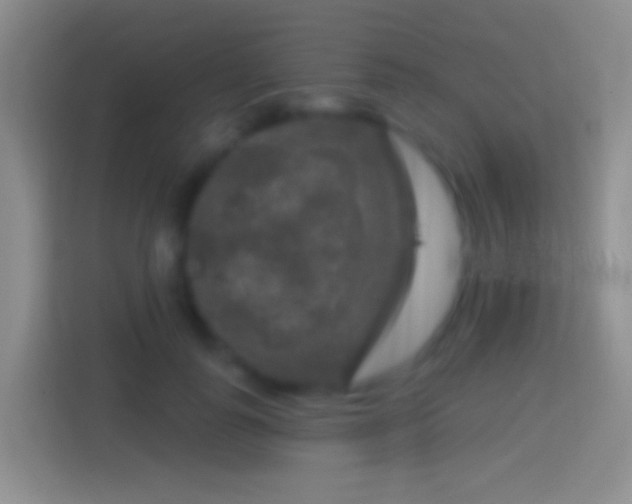 X0000114440747200910231318