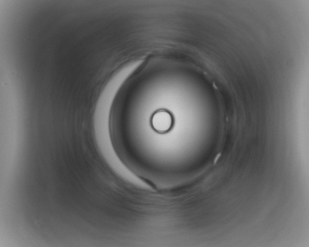 X0000114440750200910231318