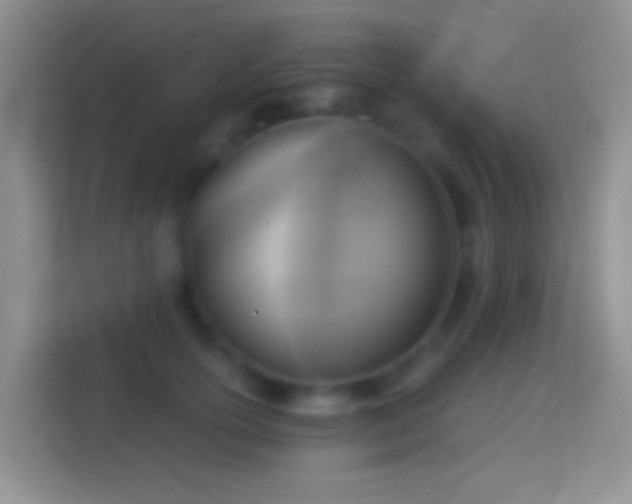 X0000114440754200910231318