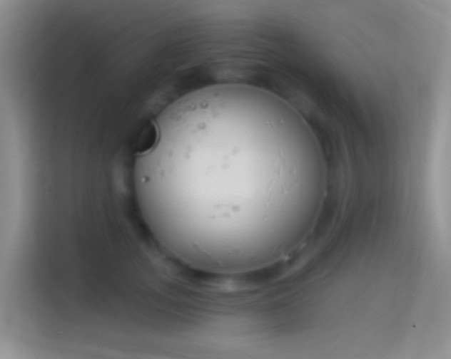 X0000114440755200910231318