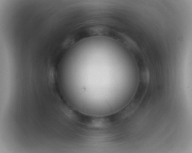 X0000114440757200910231318