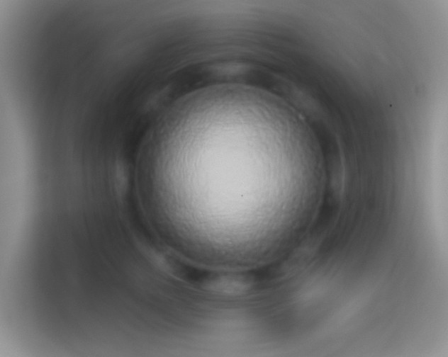 X0000114440758200910231318