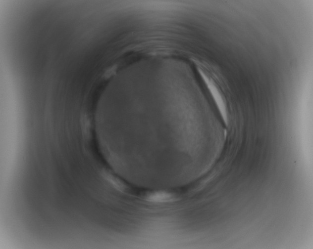 X0000114440759200910231318