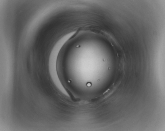 X0000114440762200910231318