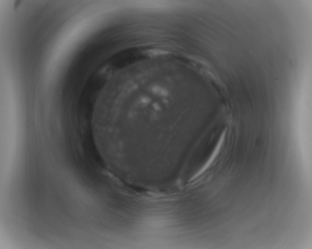 X0000114440763200910231318