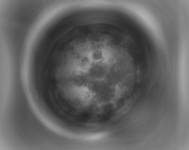 X0000114440765200910231318