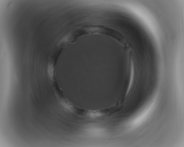 X0000114440767200910231318